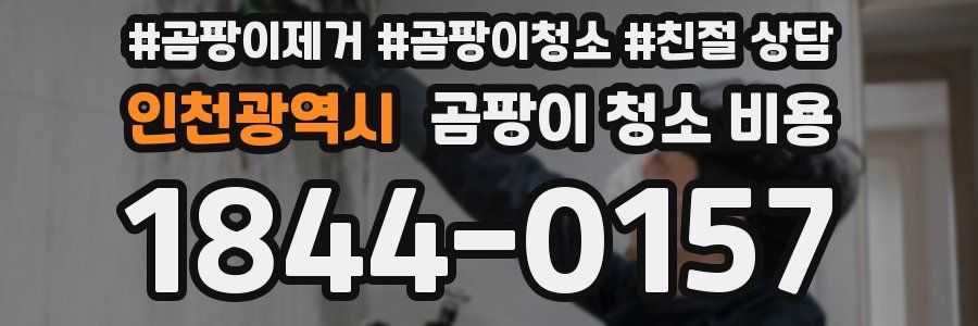 인천광역시 곰팡이 청소 비용
