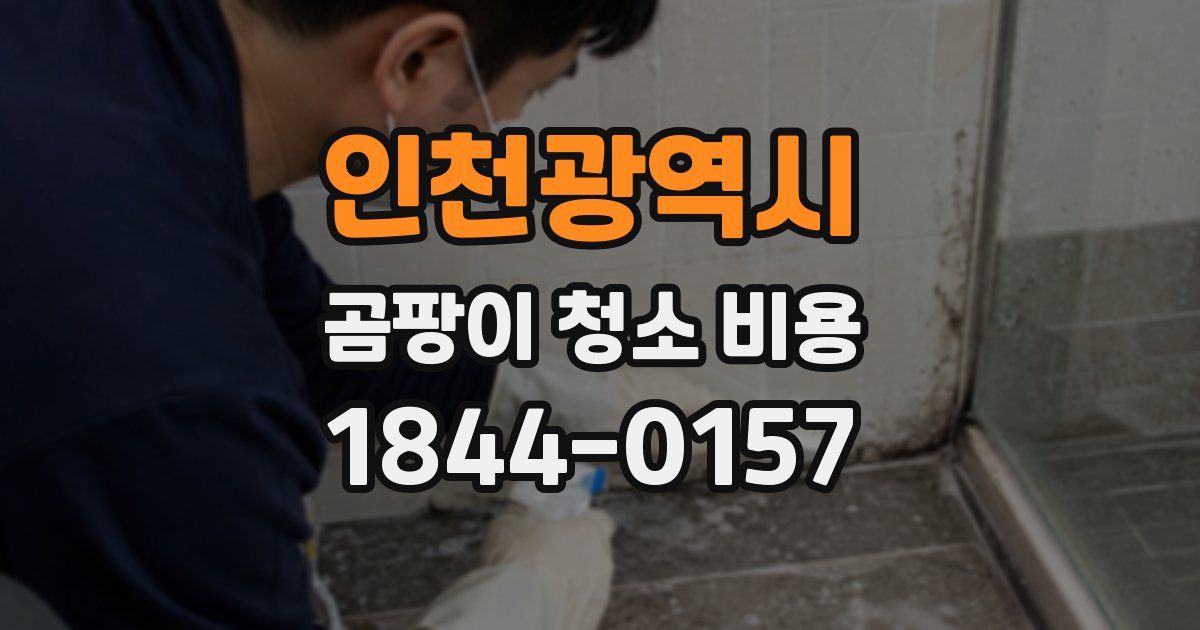 인천광역시 곰팡이 청소 비용
