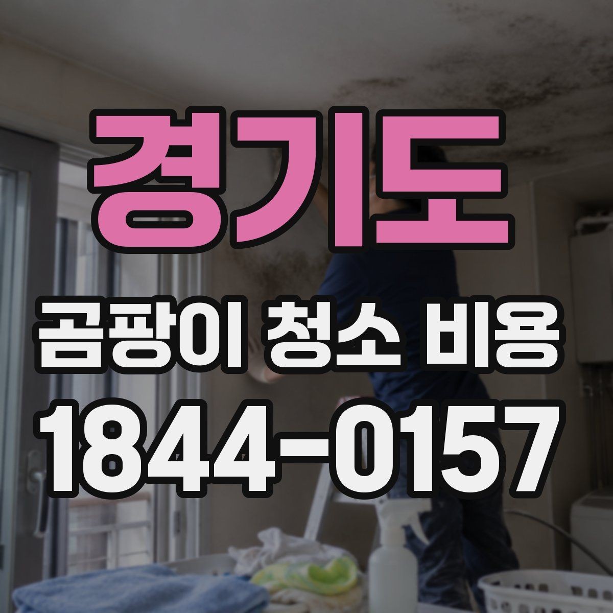 경기도 곰팡이 청소 비용 산정 시 확인할 서비스 단계