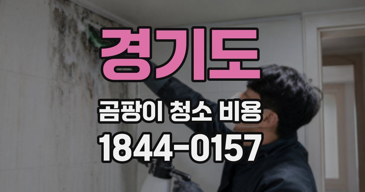 경기도 곰팡이 청소 비용