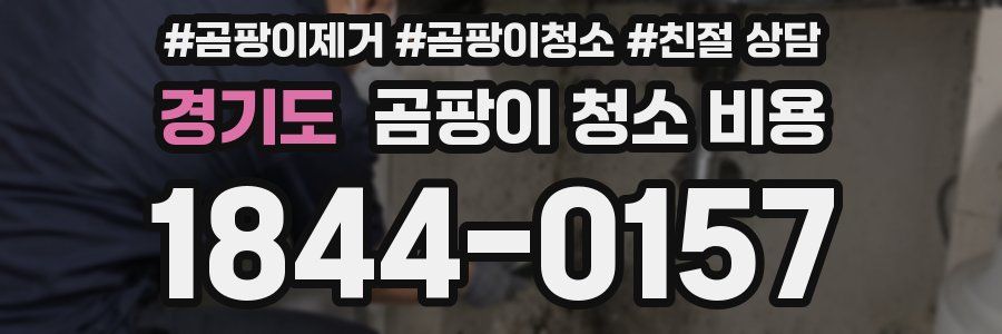 경기도 곰팡이 청소 비용