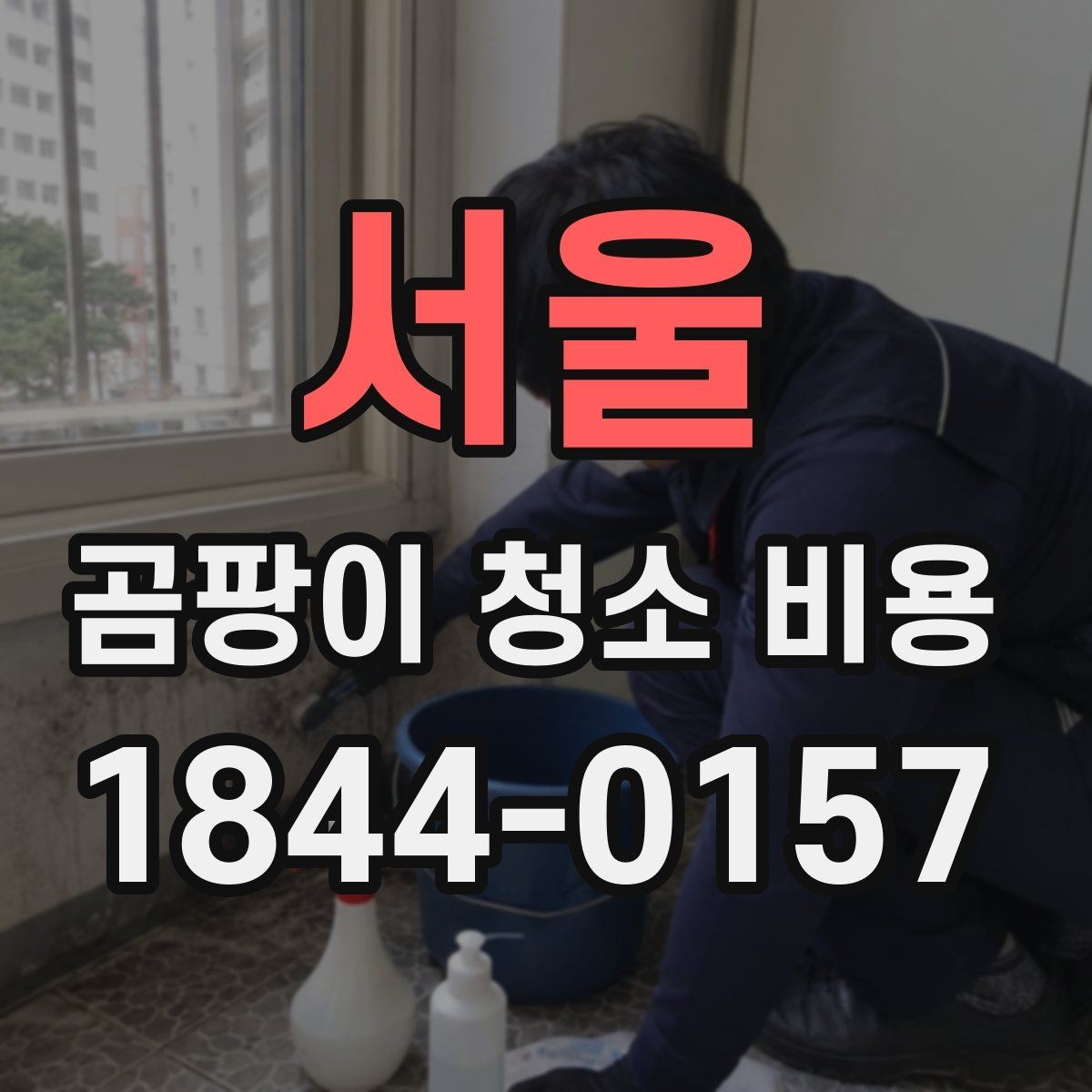 서울 곰팡이 청소 비용 문의 시 체크리스트