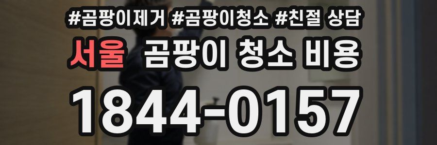 서울 곰팡이 청소 비용