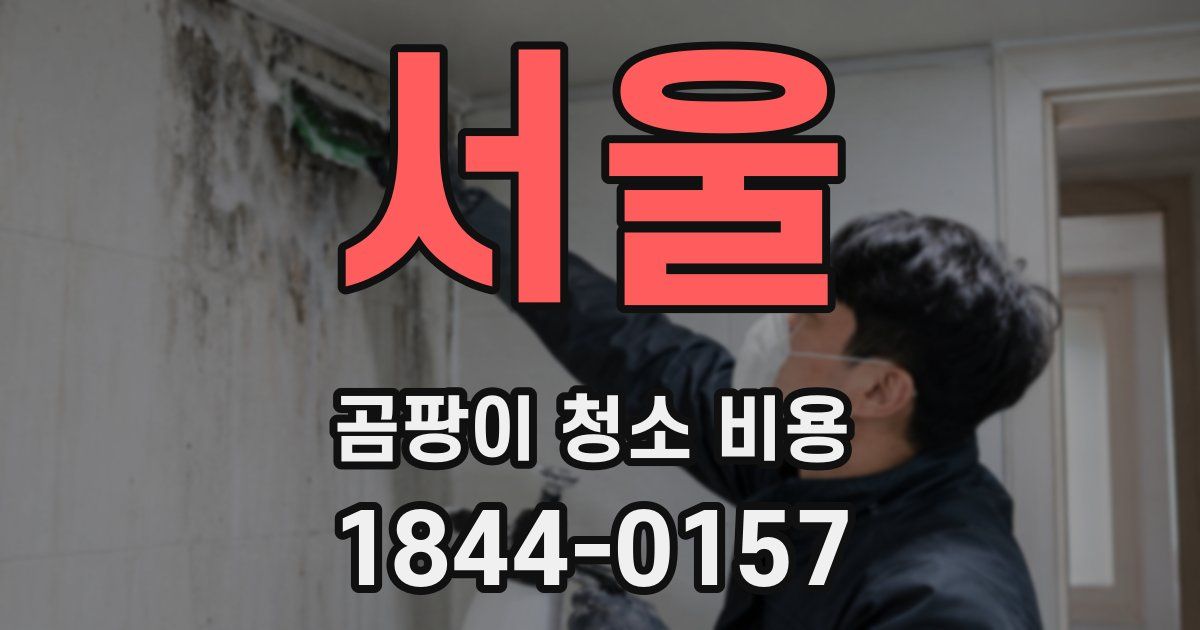 서울 곰팡이 청소 비용