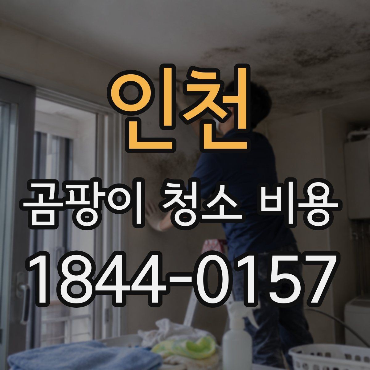 인천 곰팡이 청소 비용 견적서에서 봐야 할 항목