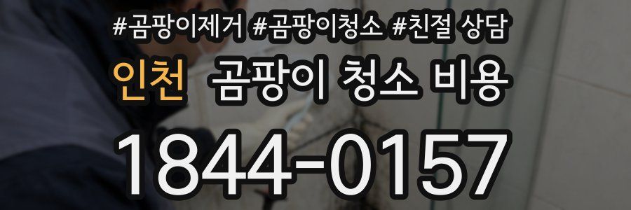 인천 곰팡이 청소 비용