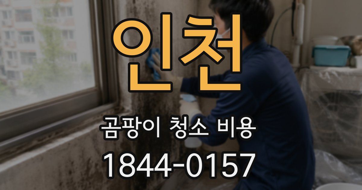 인천 곰팡이 청소 비용