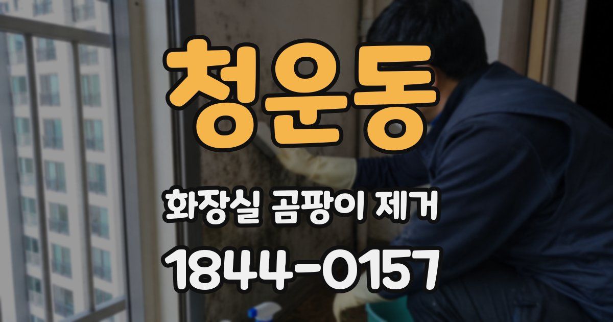 청운동 화장실 곰팡이 제거