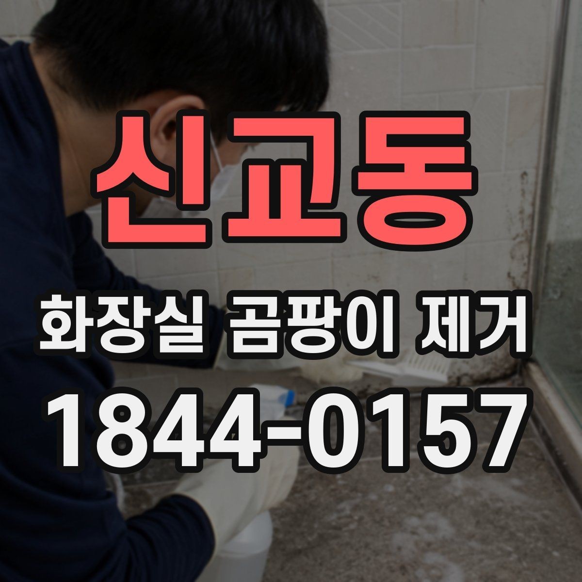 신교동 화장실 곰팡이 제거 세제보다 브러시 선택이 중요한 경우