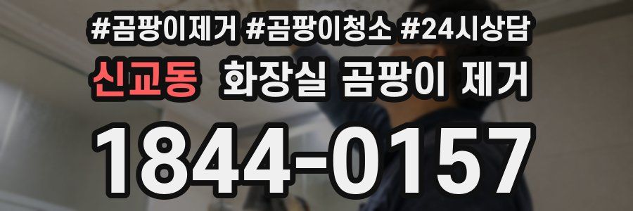 신교동 화장실 곰팡이 제거