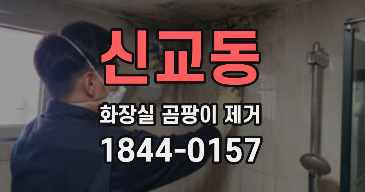 신교동 화장실 곰팡이 제거