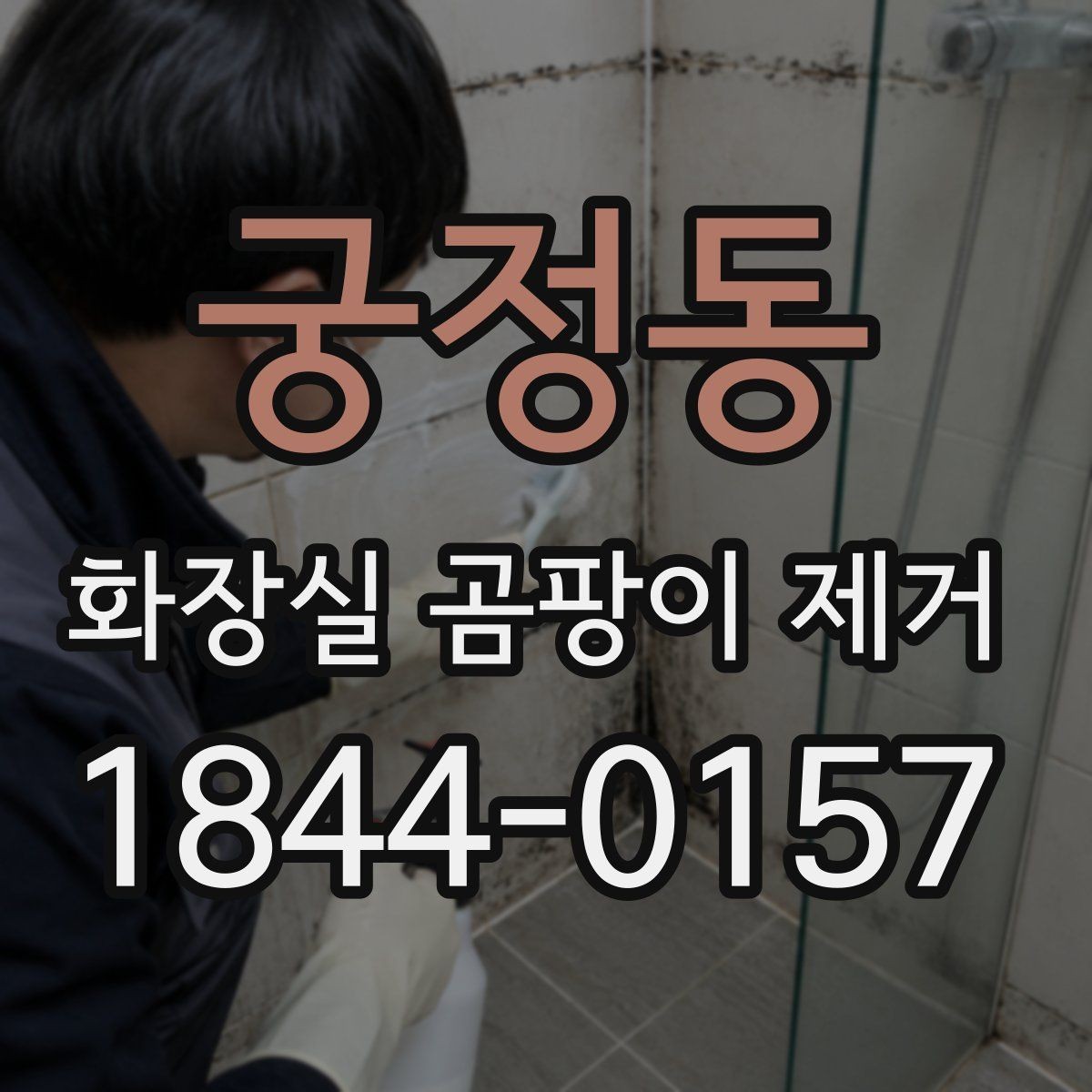 궁정동 화장실 곰팡이 제거 세정제로 안 지워질 때 먼저 볼 점