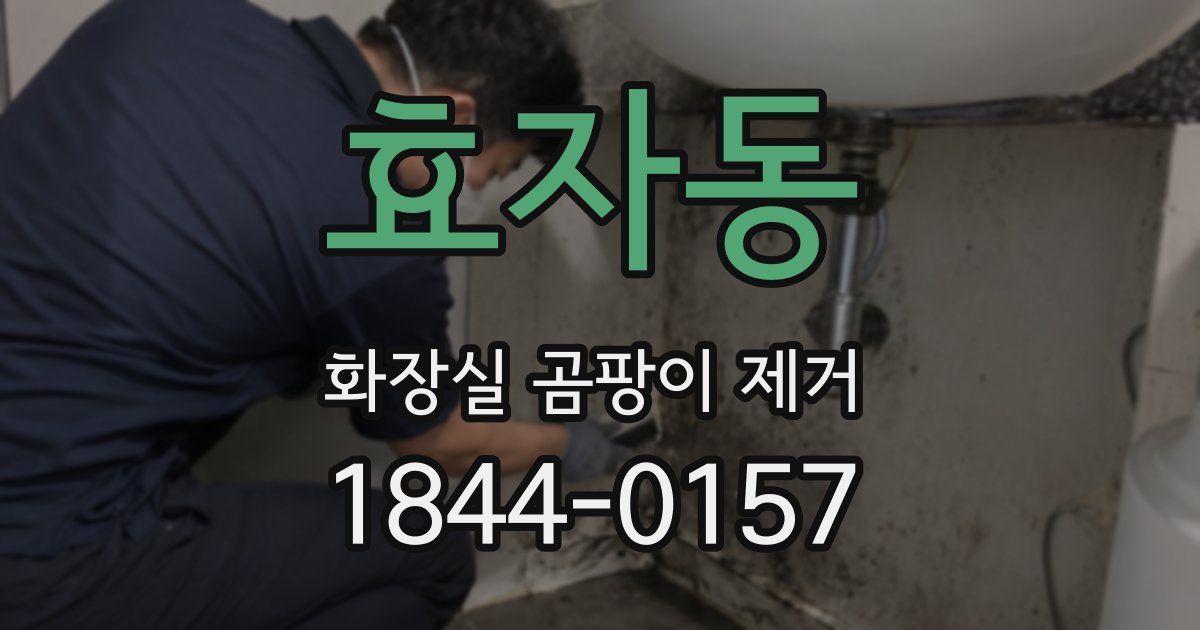 효자동 화장실 곰팡이 제거
