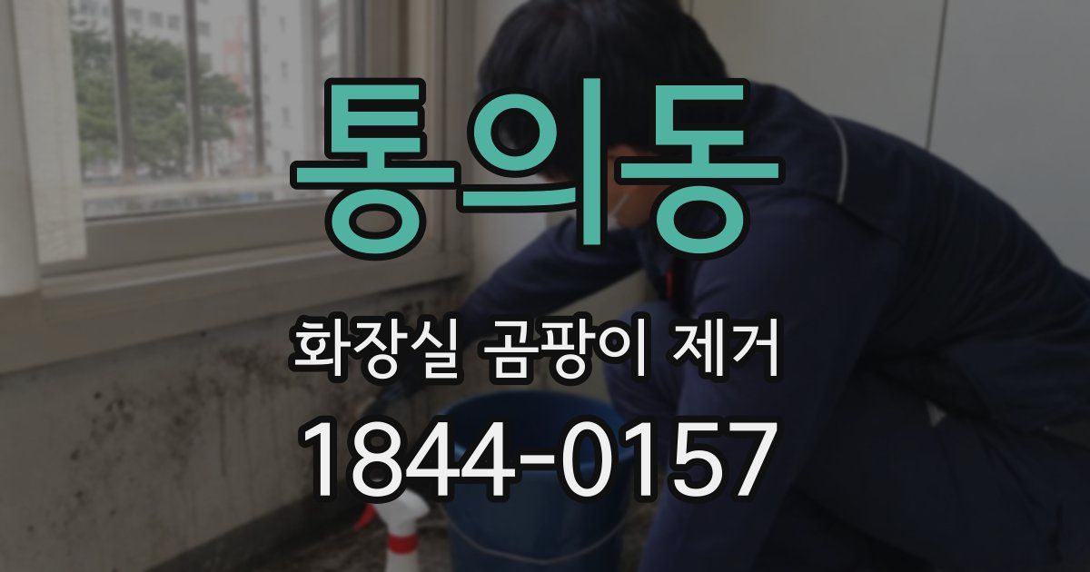 통의동 화장실 곰팡이 제거