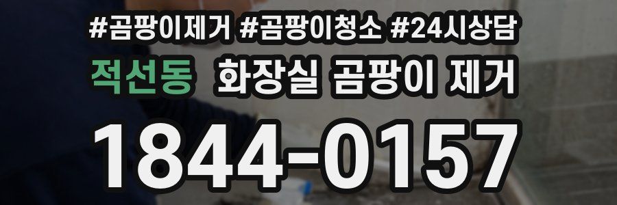 적선동 화장실 곰팡이 제거