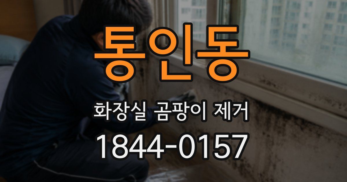 통인동 화장실 곰팡이 제거