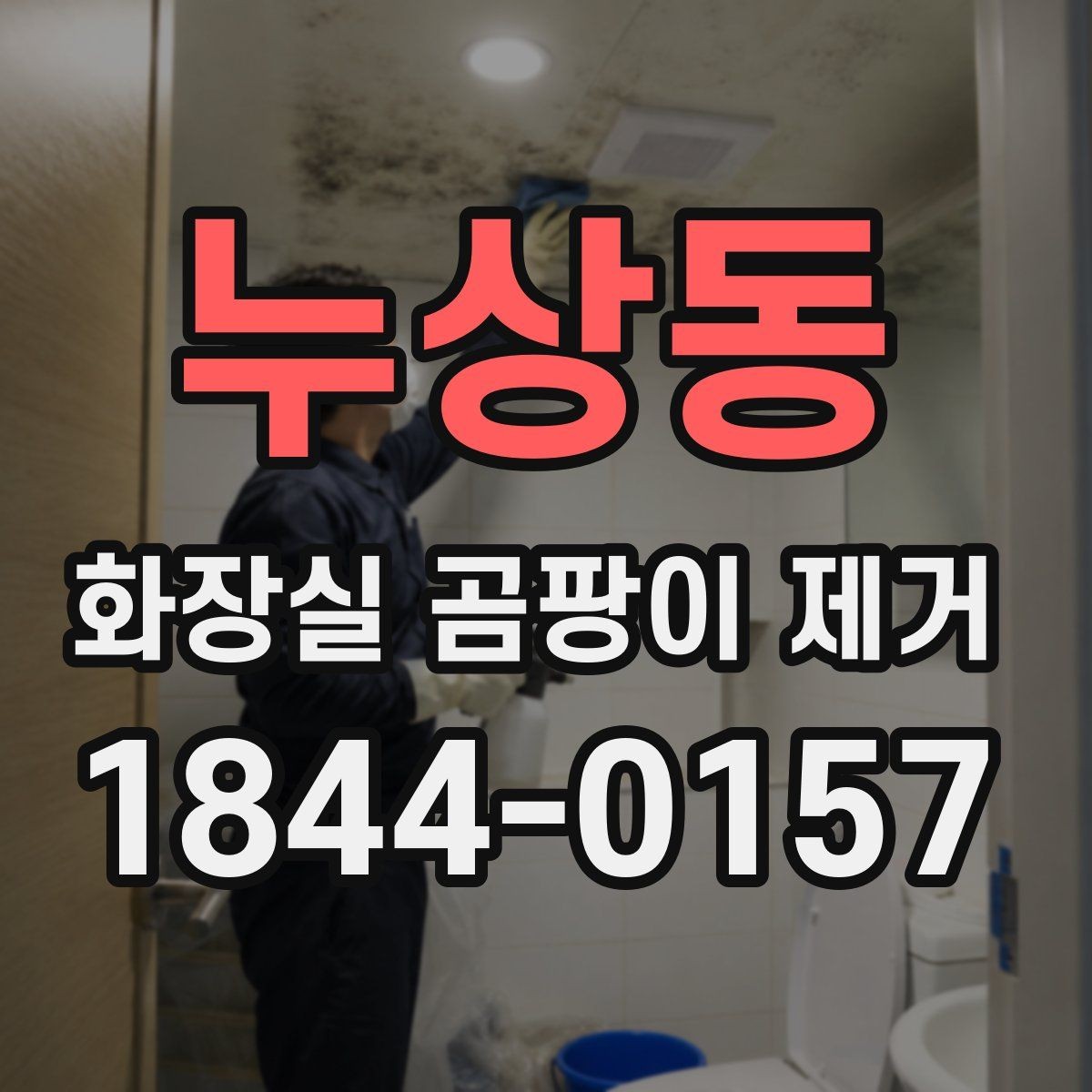 누상동 화장실 곰팡이 제거 변기 근처 검은 얼룩이 넓어질 때 살필 부분