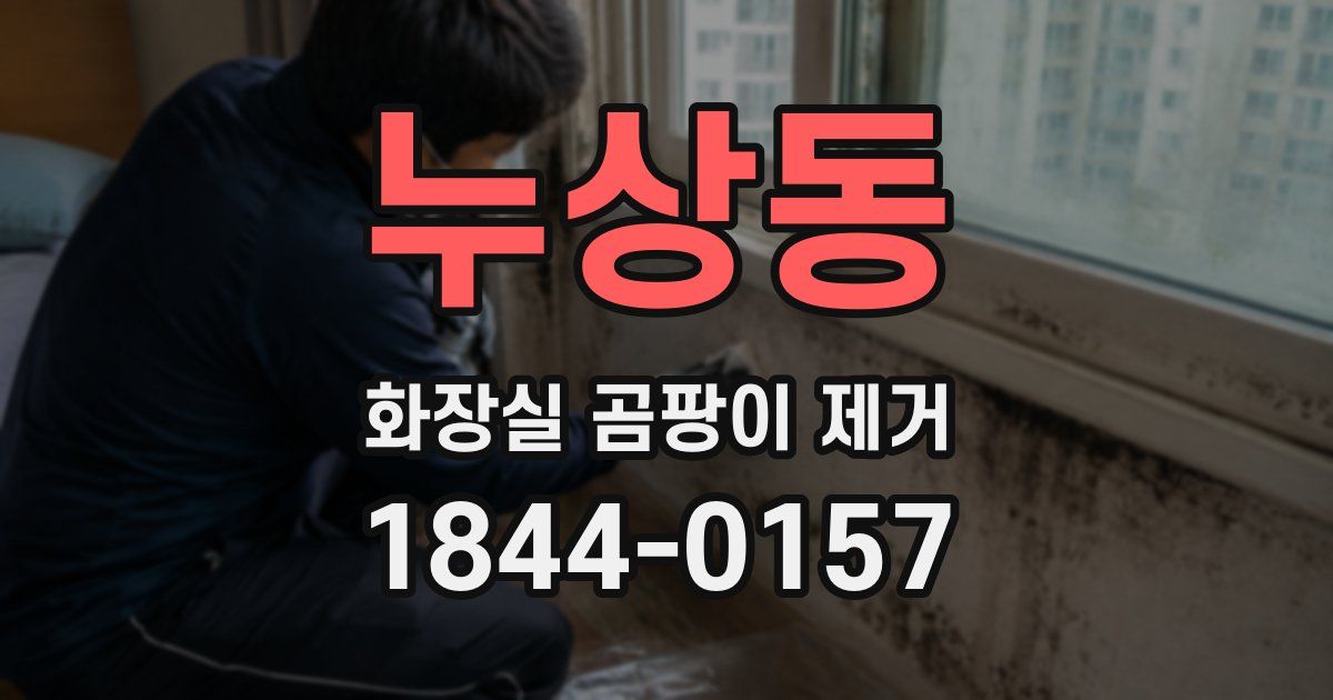 누상동 화장실 곰팡이 제거