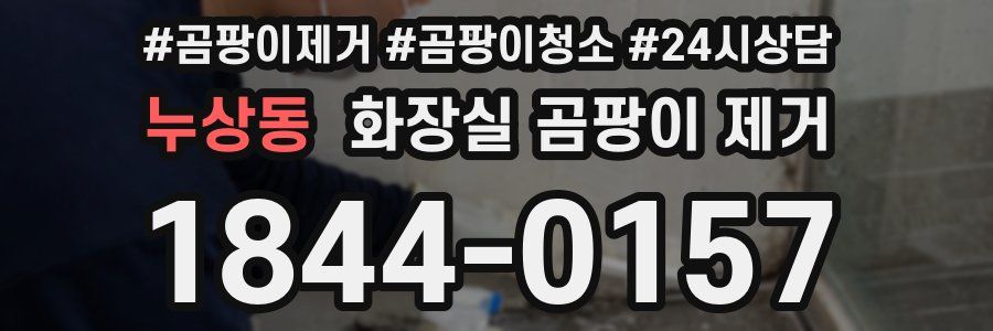 누상동 화장실 곰팡이 제거