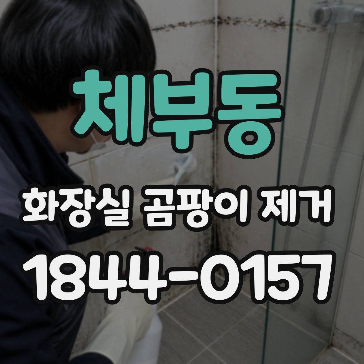 체부동 화장실 곰팡이 제거