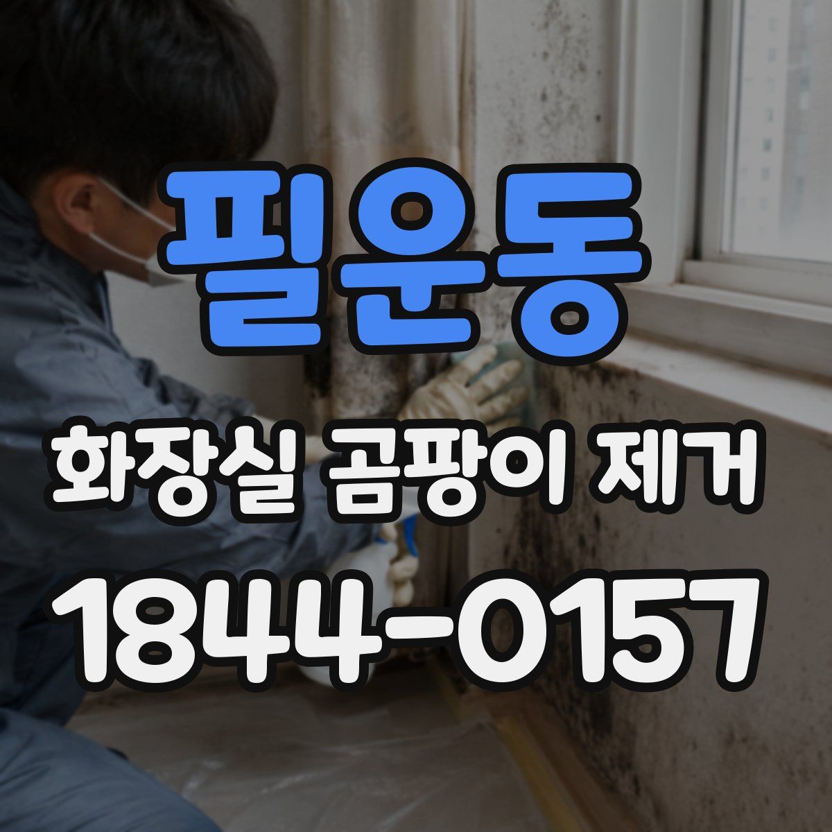 필운동 화장실 곰팡이 제거