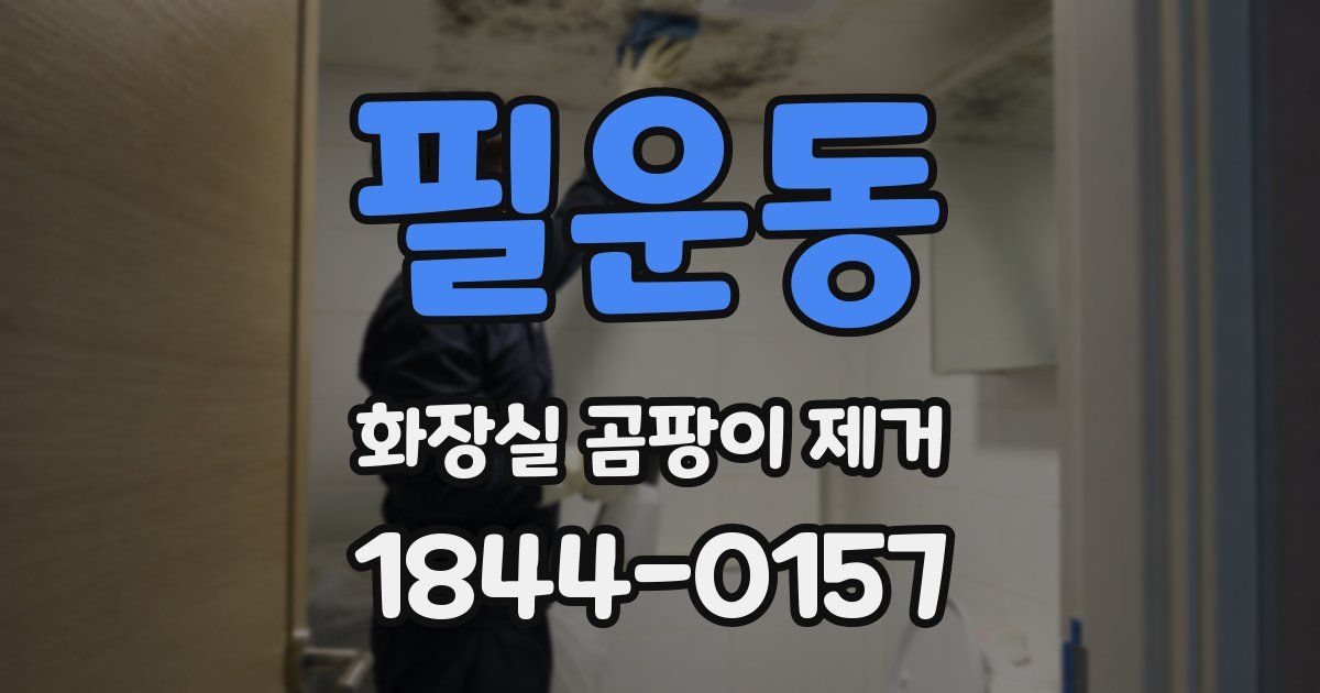필운동 화장실 곰팡이 제거