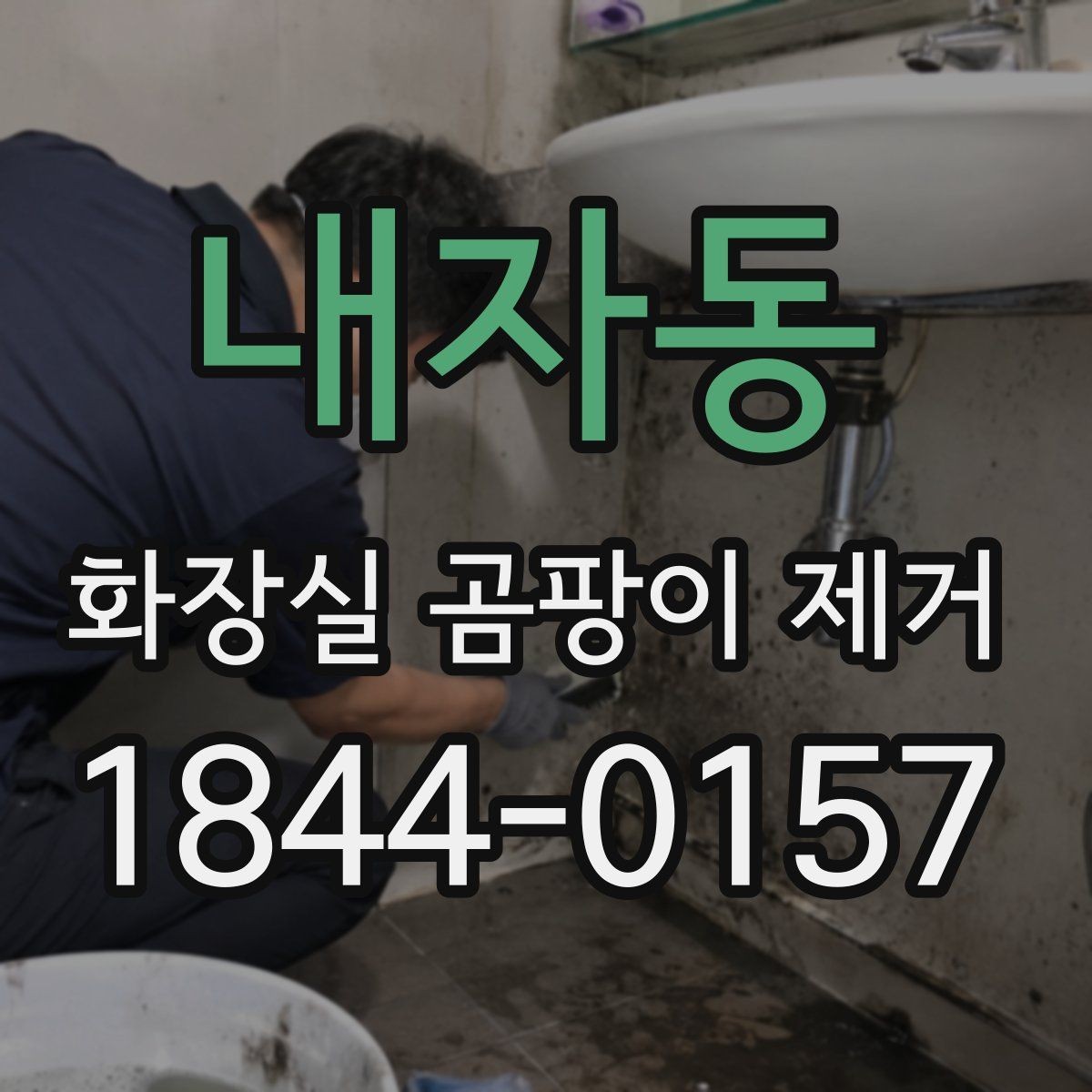 내자동 화장실 곰팡이 제거 곰팡이 번짐이 반복될 때 확인할 곳