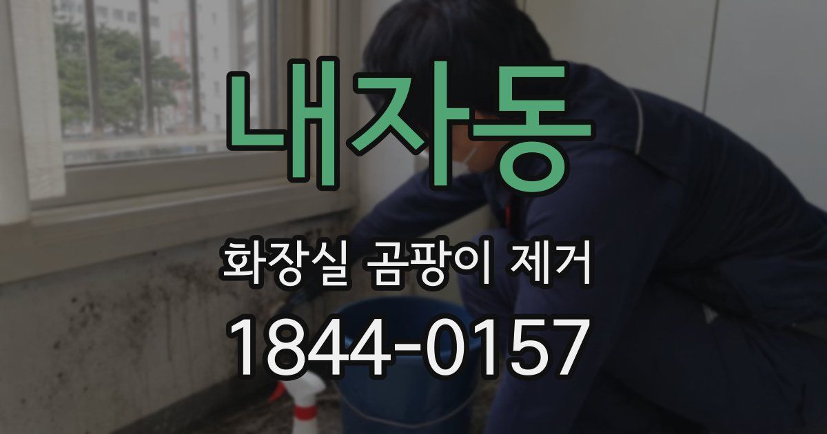 내자동 화장실 곰팡이 제거