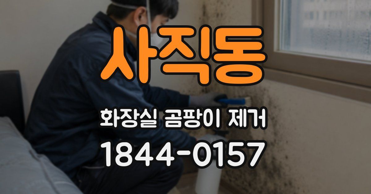 사직동 화장실 곰팡이 제거