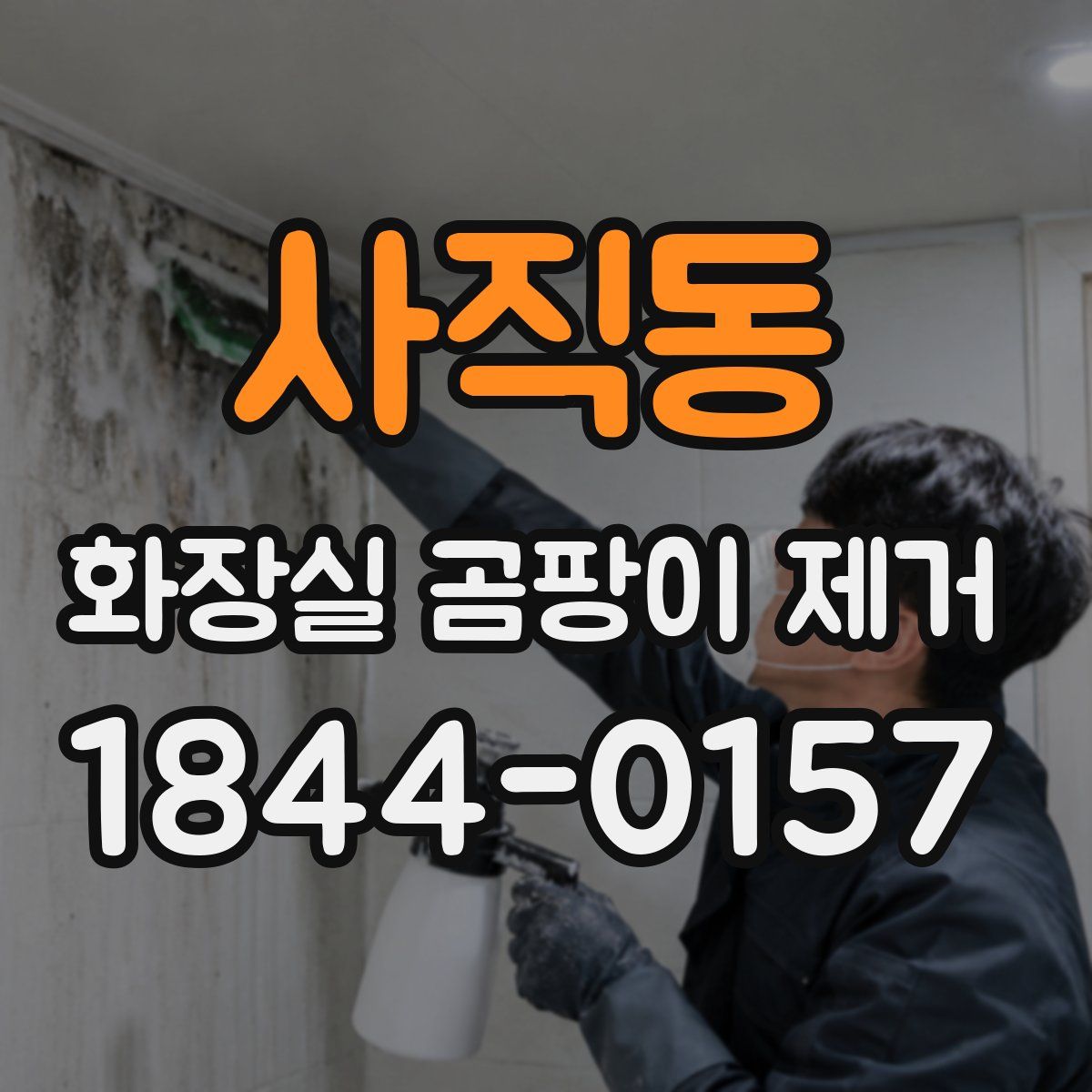 사직동 화장실 곰팡이 제거