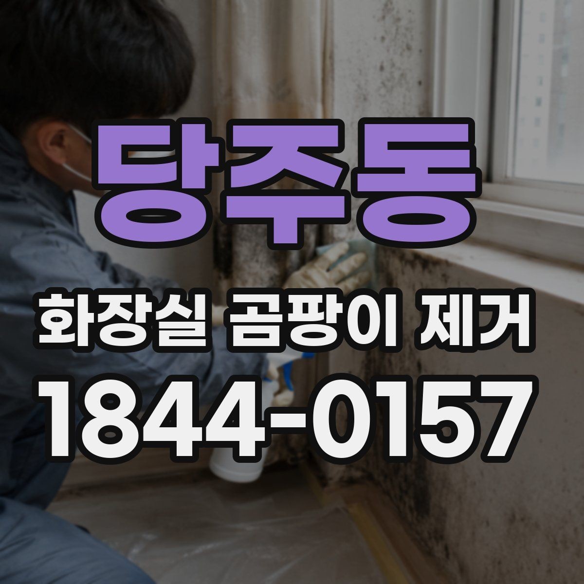 당주동 화장실 곰팡이 제거 주기와 함께 보는 욕실 관리법