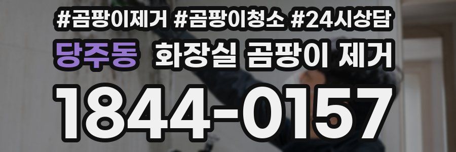 당주동 화장실 곰팡이 제거