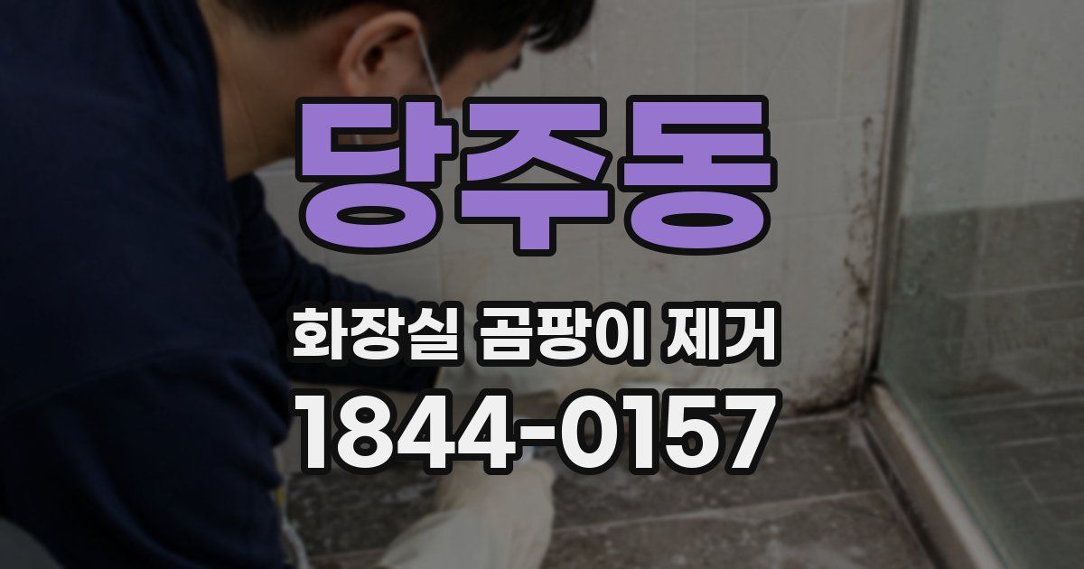 당주동 화장실 곰팡이 제거