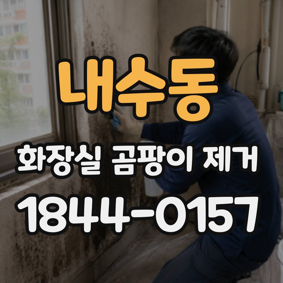 내수동 화장실 곰팡이 제거