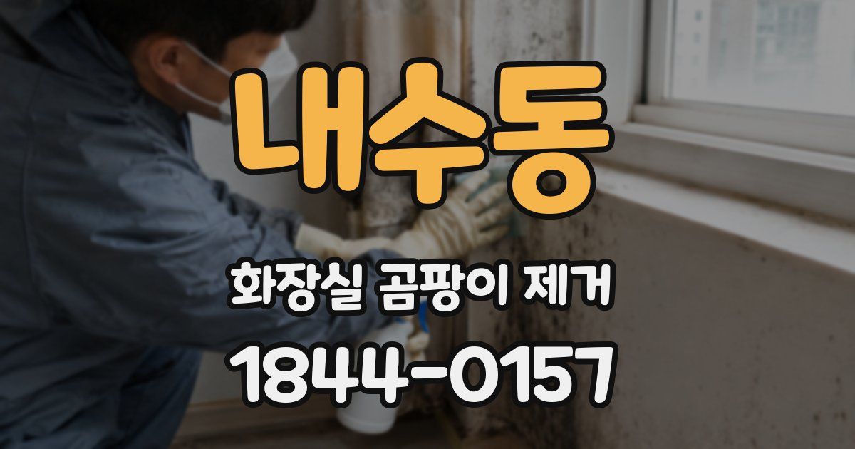 내수동 화장실 곰팡이 제거
