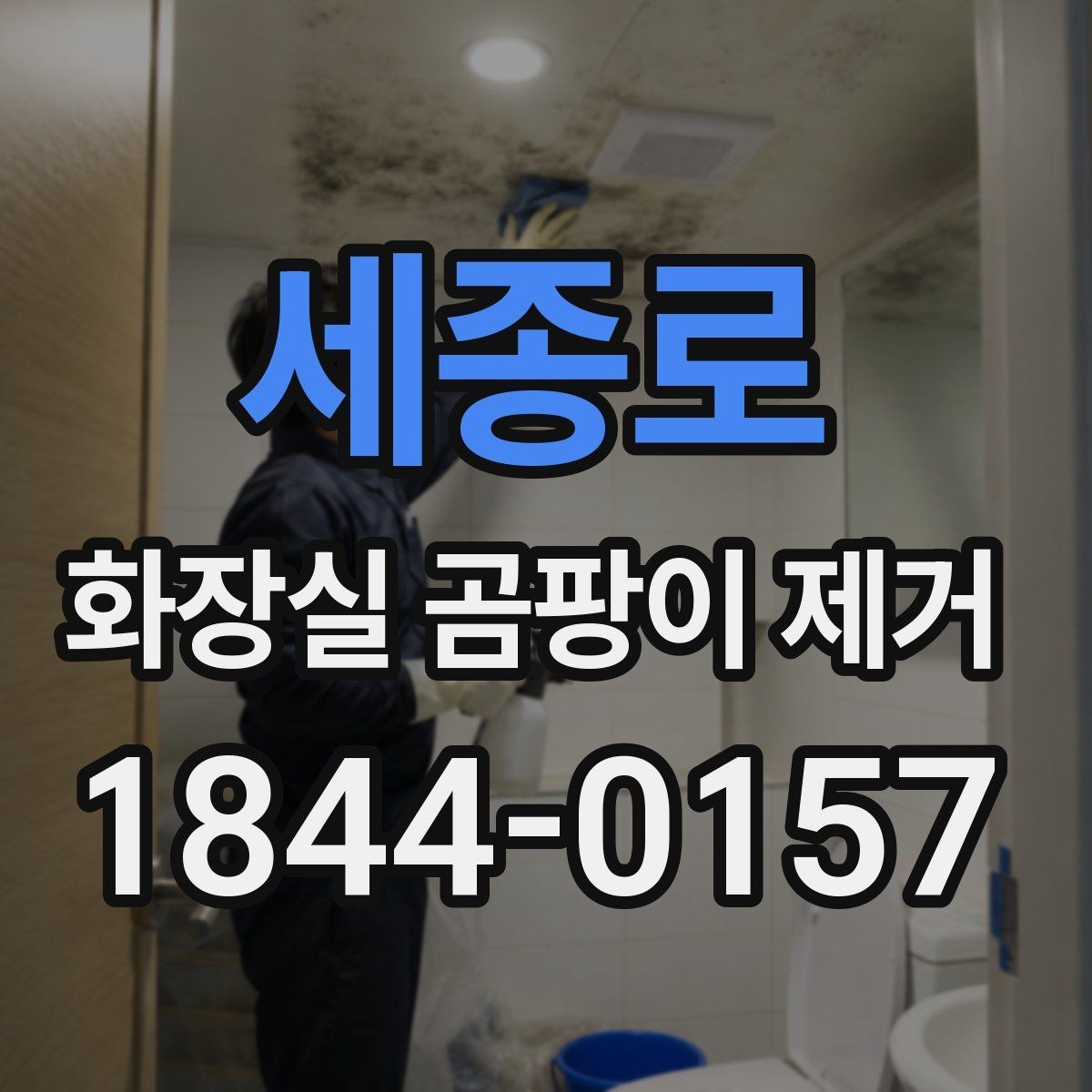 세종로 화장실 곰팡이 제거 타일 표면과 틈새를 나눠 청소하는 법