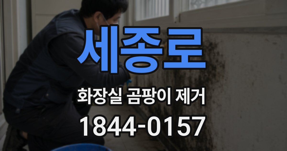 세종로 화장실 곰팡이 제거