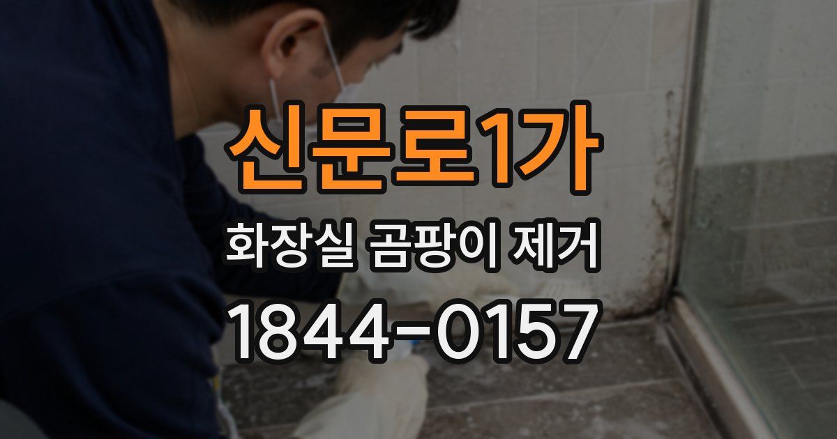 신문로1가 화장실 곰팡이 제거