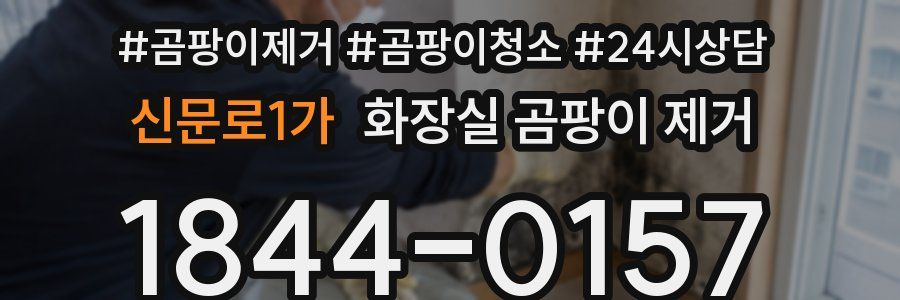 신문로1가 화장실 곰팡이 제거