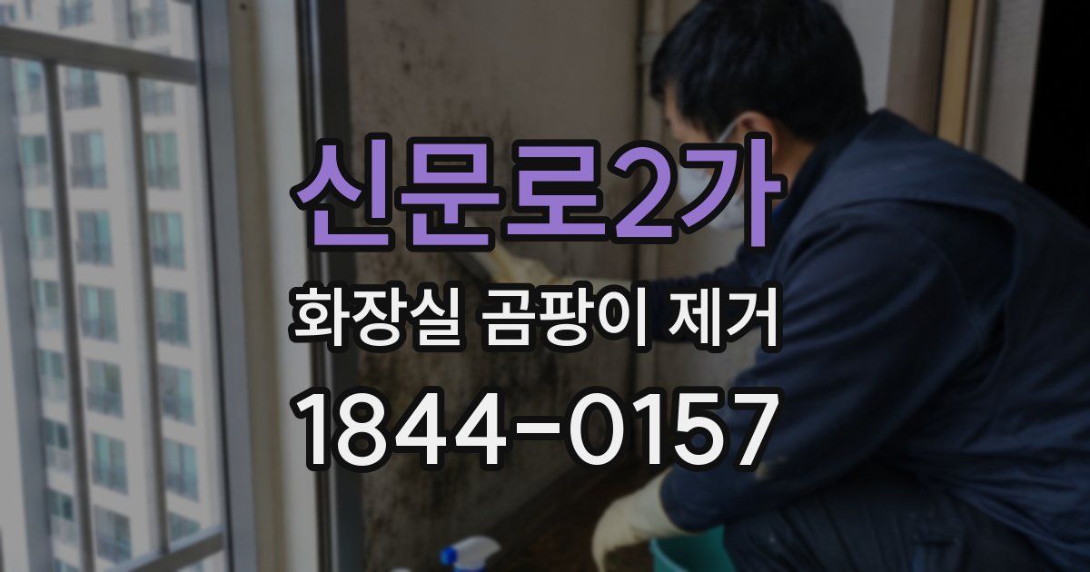 신문로2가 화장실 곰팡이 제거