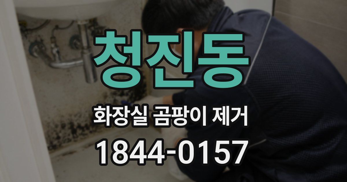청진동 화장실 곰팡이 제거