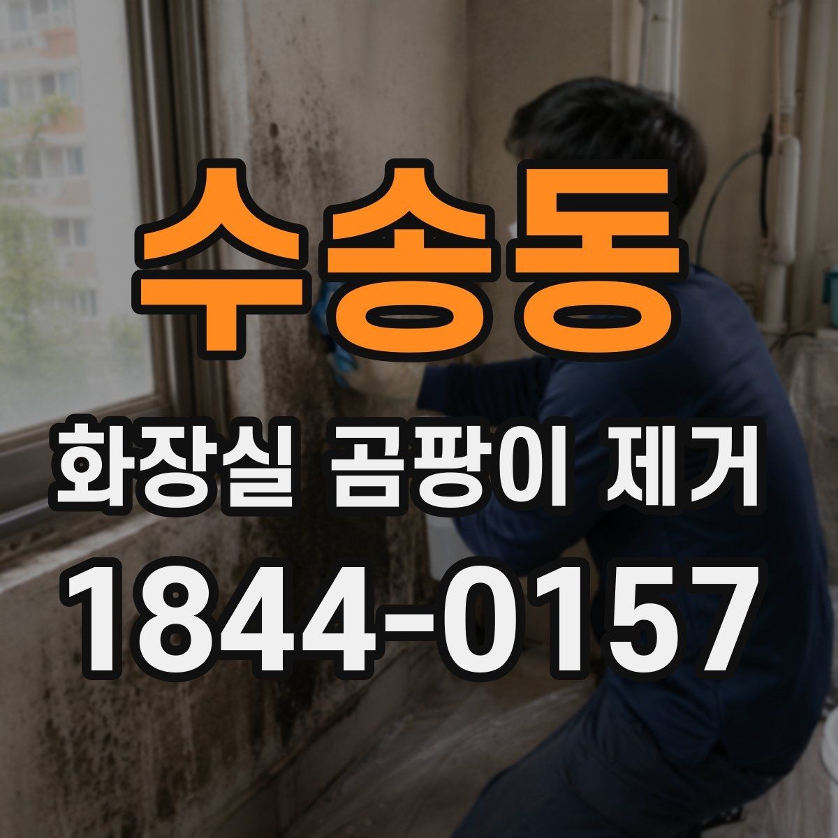 수송동 화장실 곰팡이 제거 변기 주변부 오염을 줄이는 일상 관리법