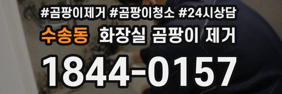 수송동 화장실 곰팡이 제거