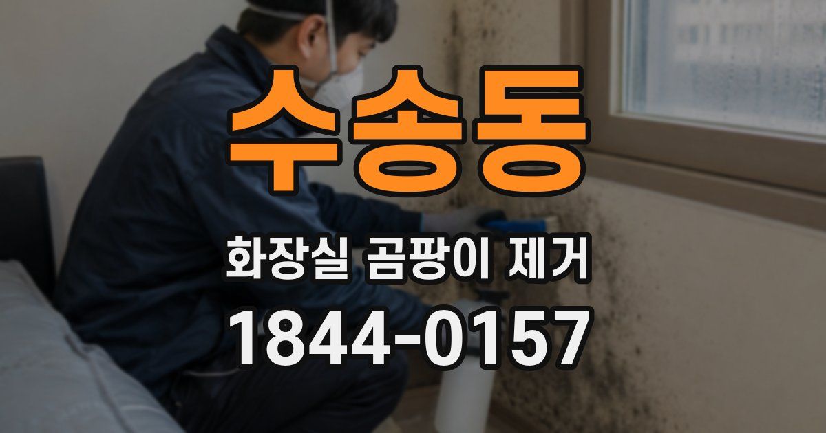 수송동 화장실 곰팡이 제거