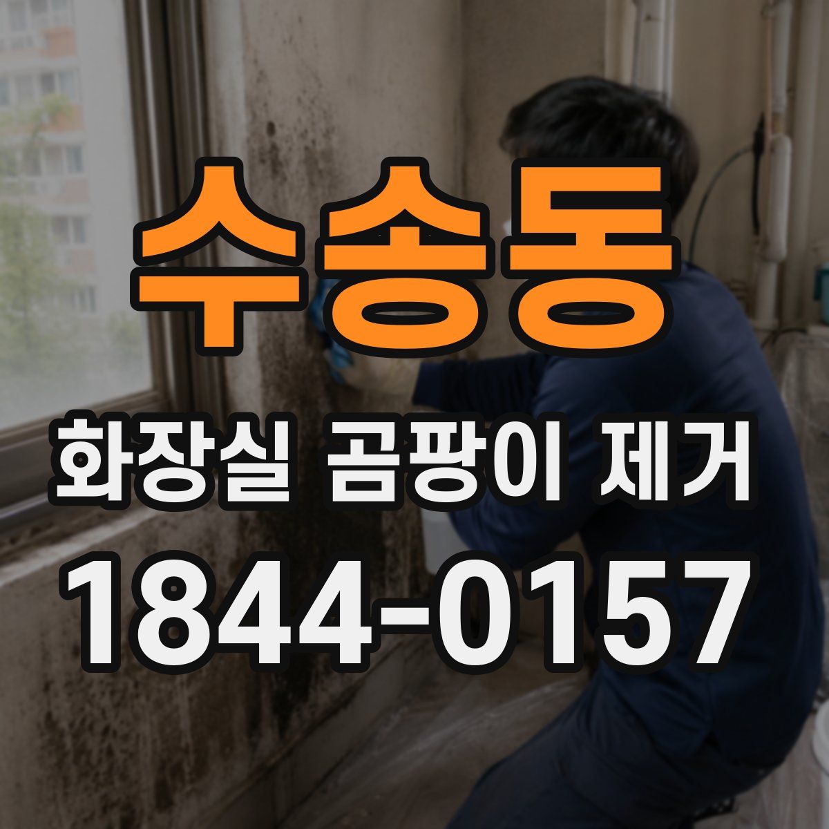 수송동 화장실 곰팡이 제거