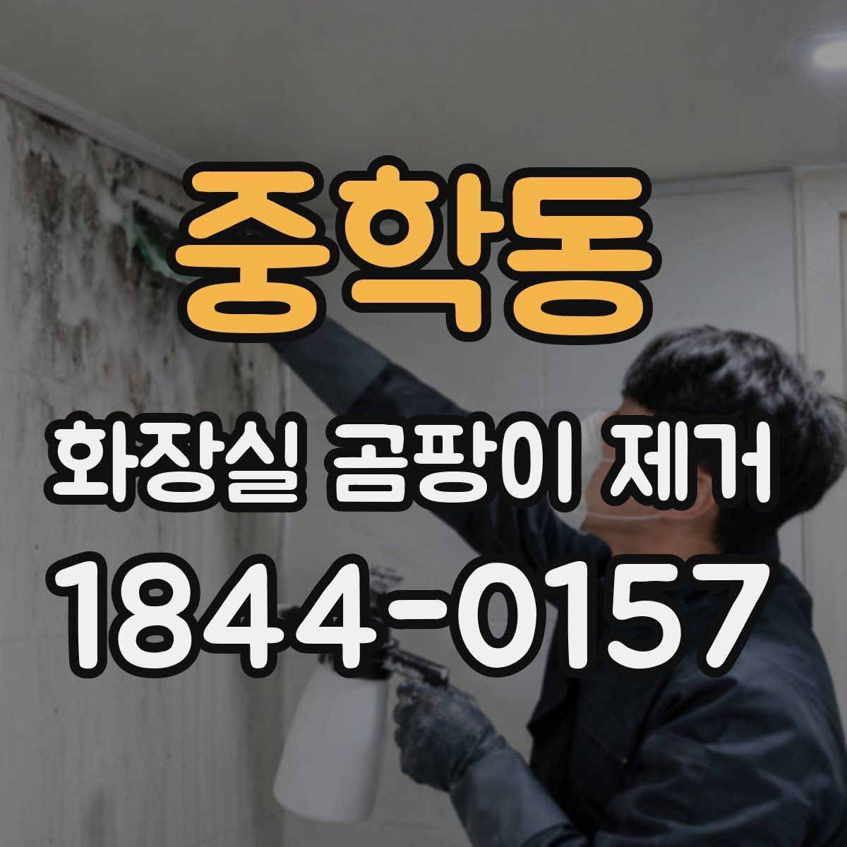 중학동 화장실 곰팡이 제거 습한 욕실에서 재발을 줄이는 관리