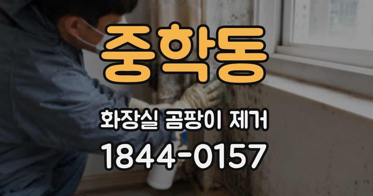 중학동 화장실 곰팡이 제거