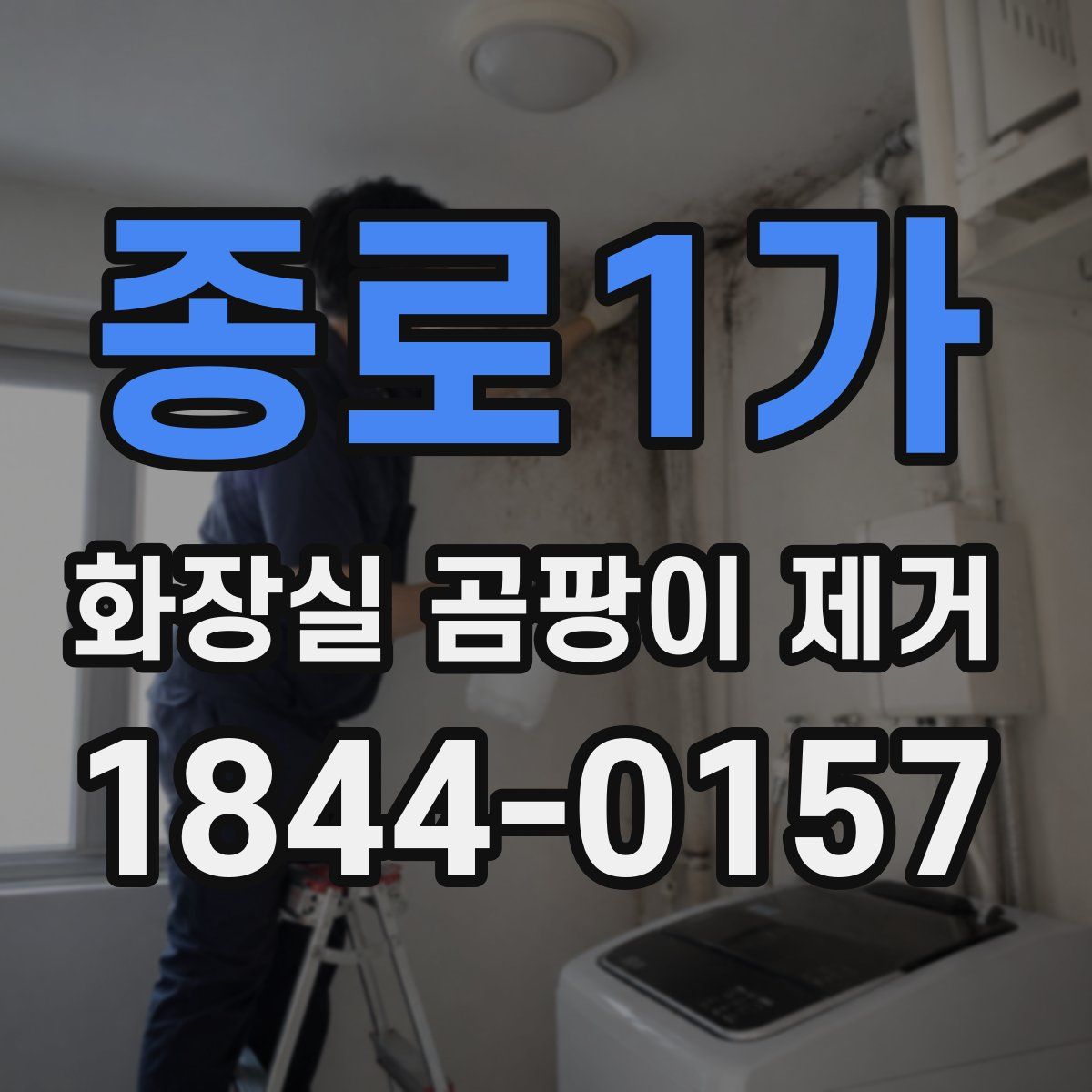 종로1가 화장실 곰팡이 제거