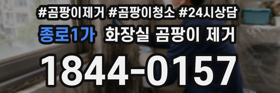 종로1가 화장실 곰팡이 제거