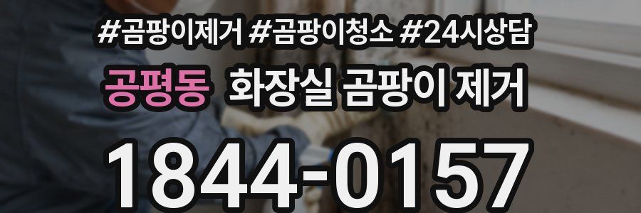 공평동 화장실 곰팡이 제거
